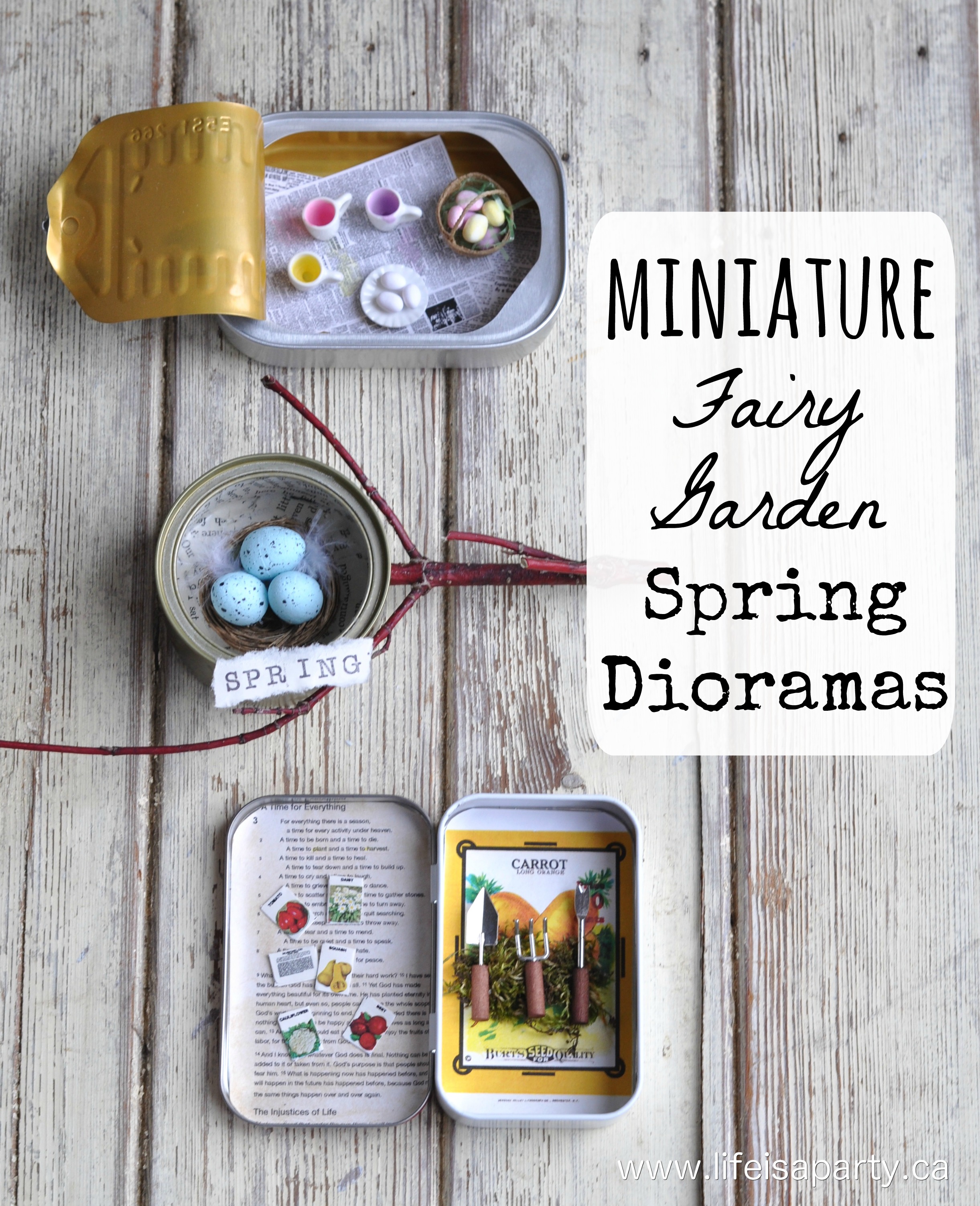 Miniature Fairy Garden Spring Dioramas: Easy to make Dioramas in a tuna tin, Altoids tin, and sardine tin, with free miniature printables. 