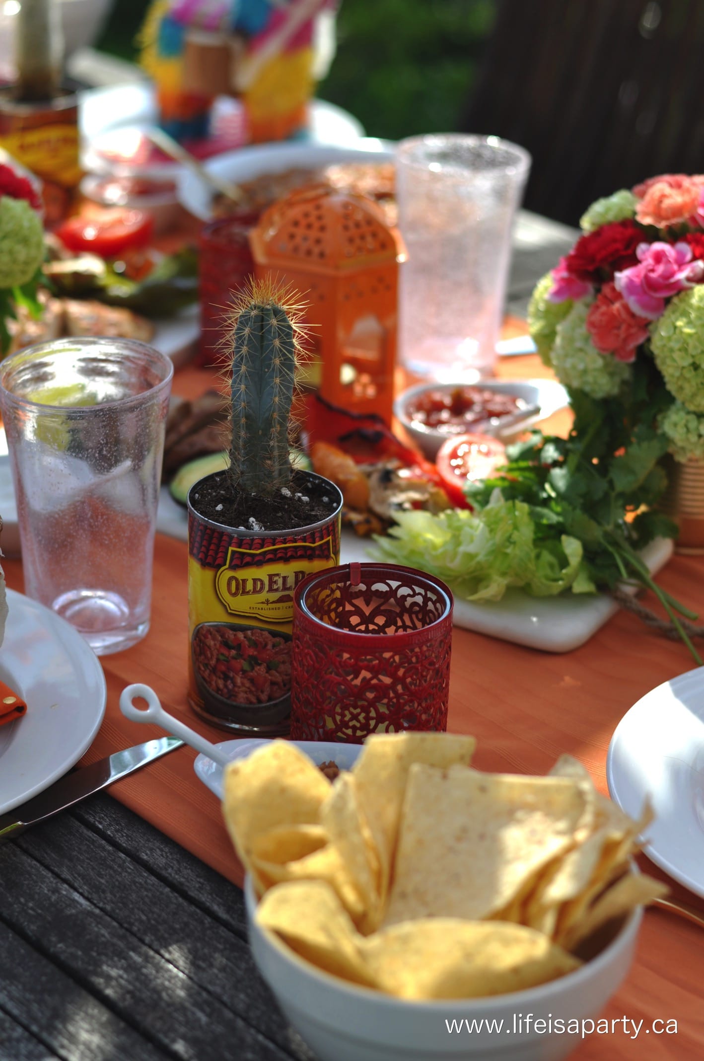 Mexican themed party ideas