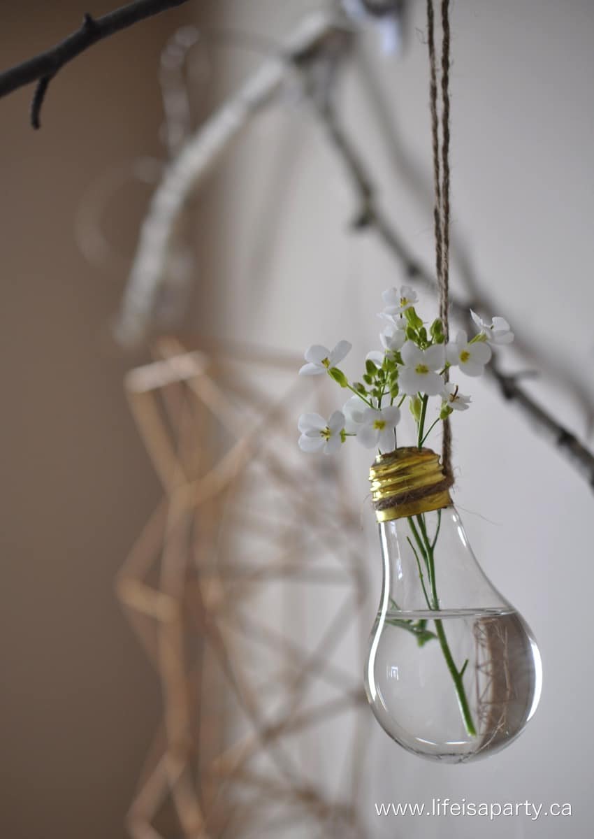 hanging flower vase made from an old light bulb