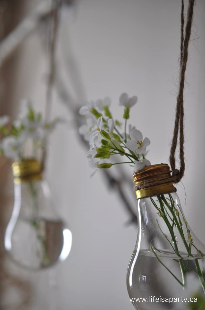 How to Make A Light Bulb Flower Vase