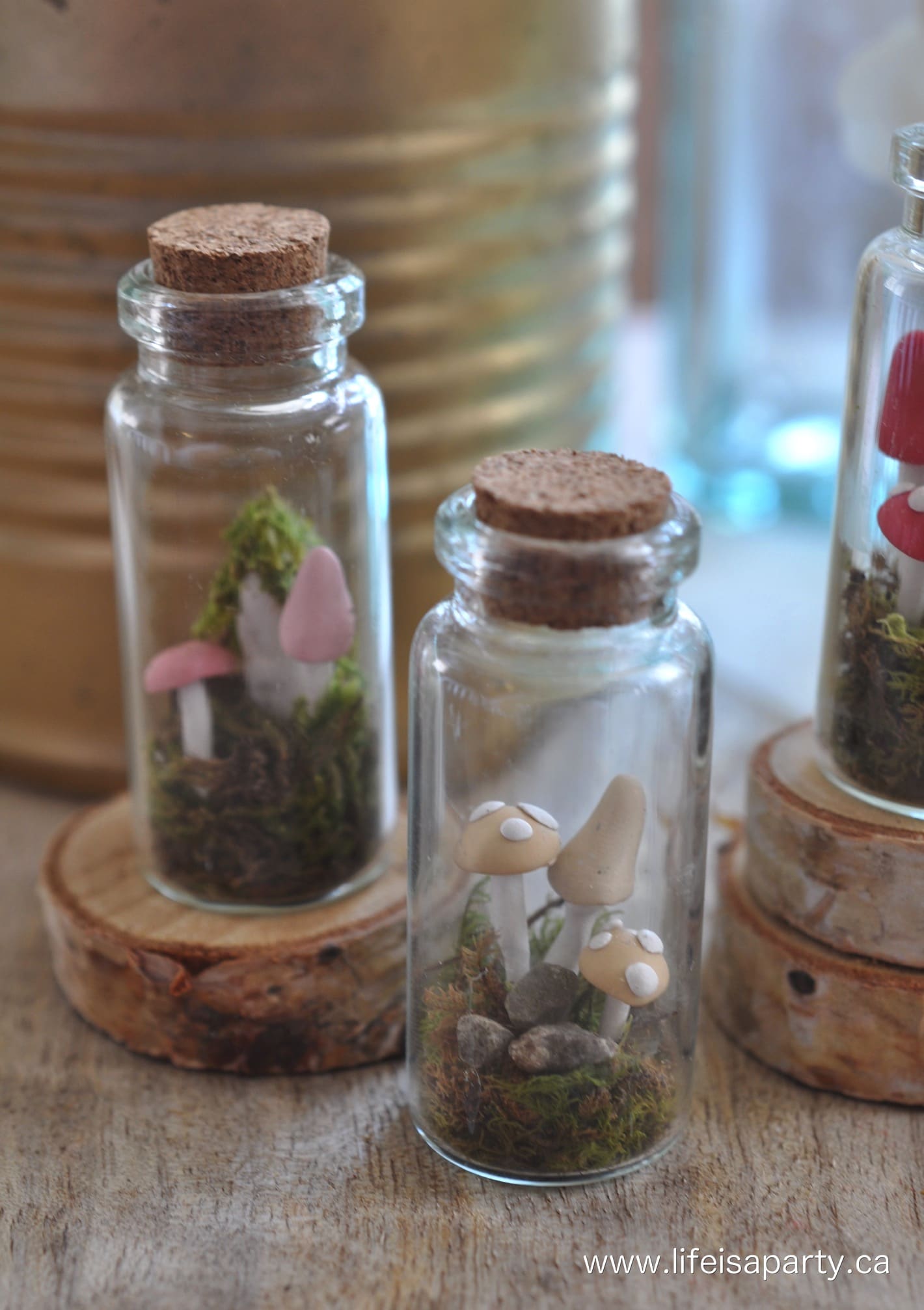 How To Make A Miniature Fairy Garden In A Bottle