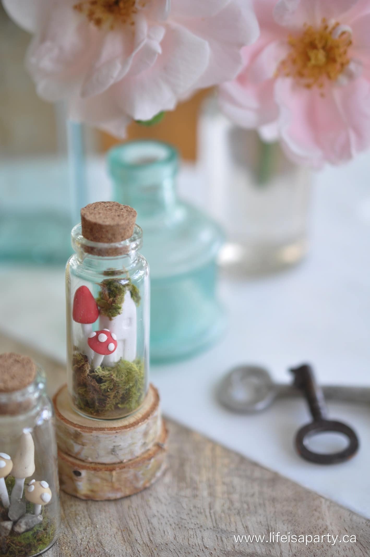 How To Make A Miniature Fairy Garden
