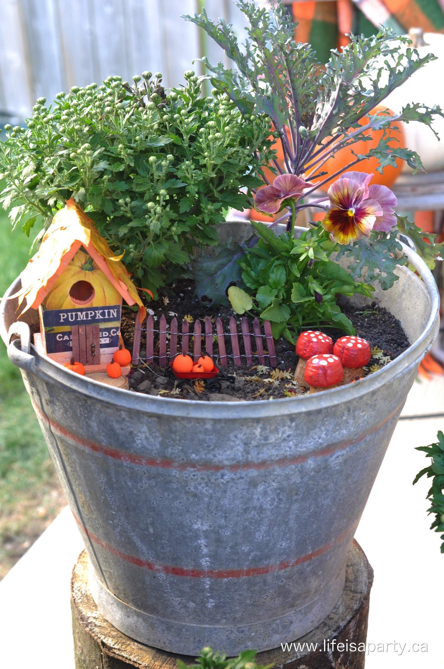 how to make a fall miniature garden