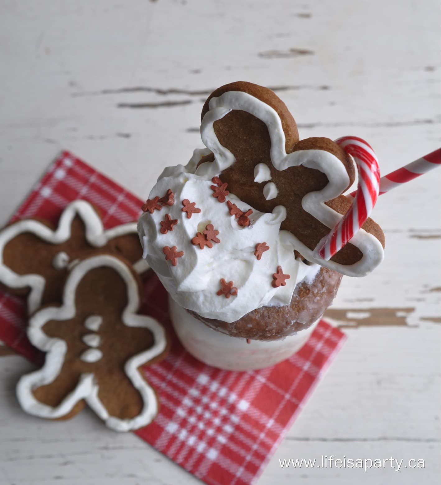 Gingerbread Extreme Milkshakes are the perfect sweet treat for the holidays. Whip up a batch of gingerbread syrup and make these amazing shakes.
