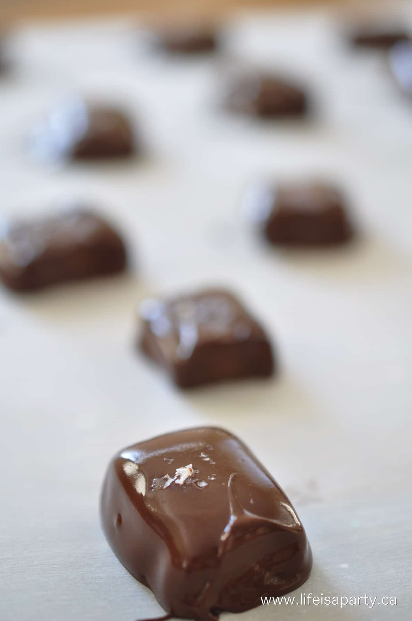 Chocolate dipped Salted Caramels