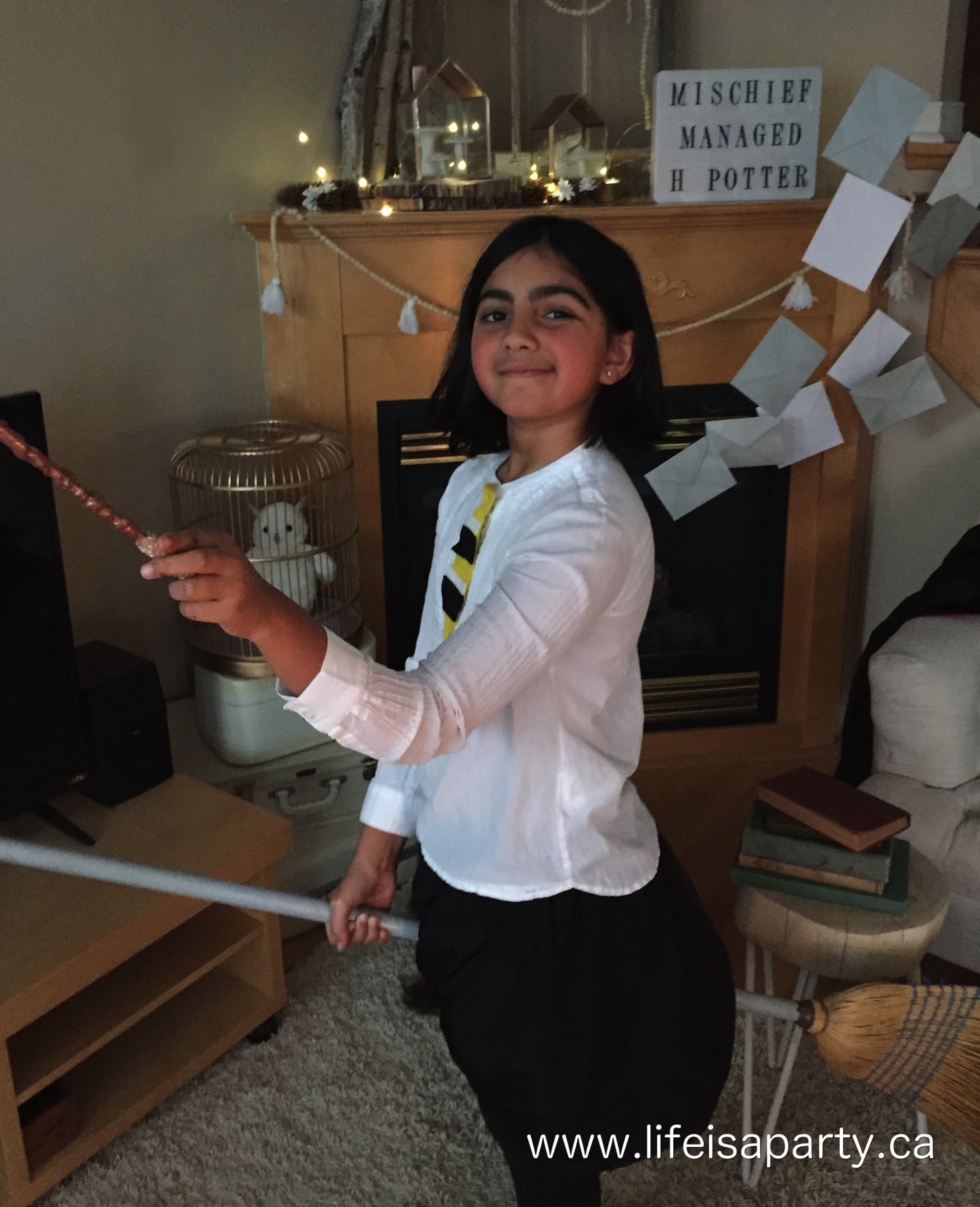 Harry Potter homemade party decorations