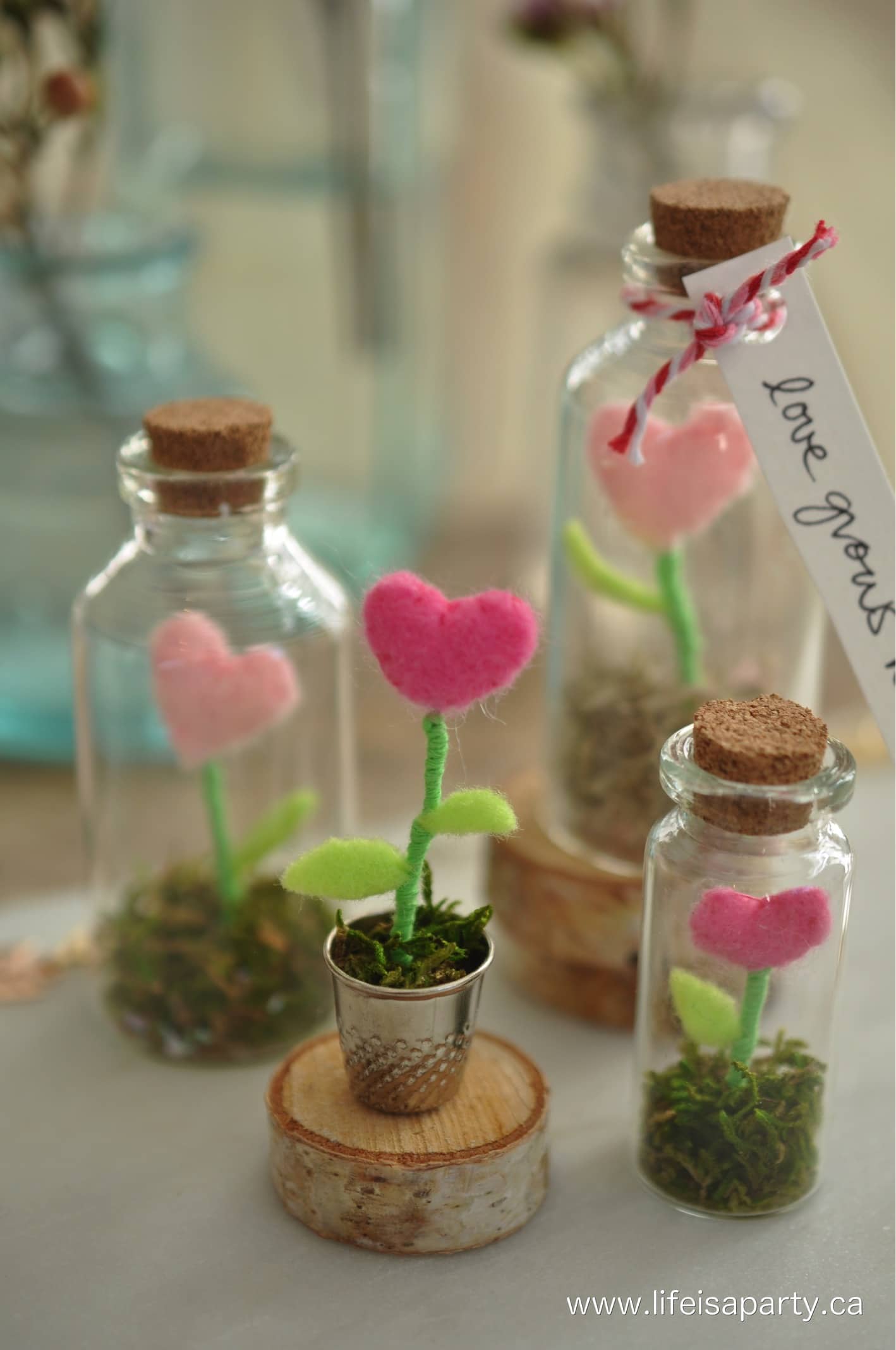miniature terrarium craft