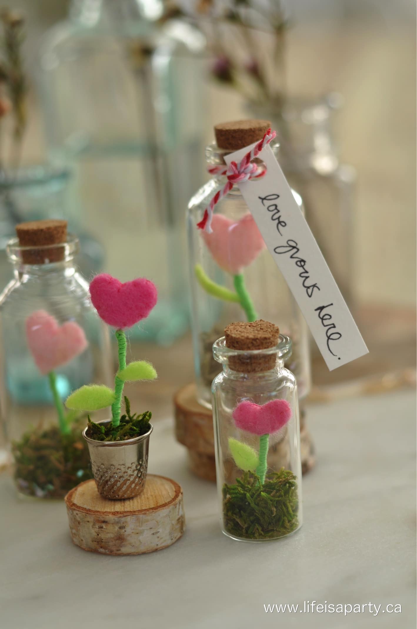 Mini Hearts in a Bottle terrarium
