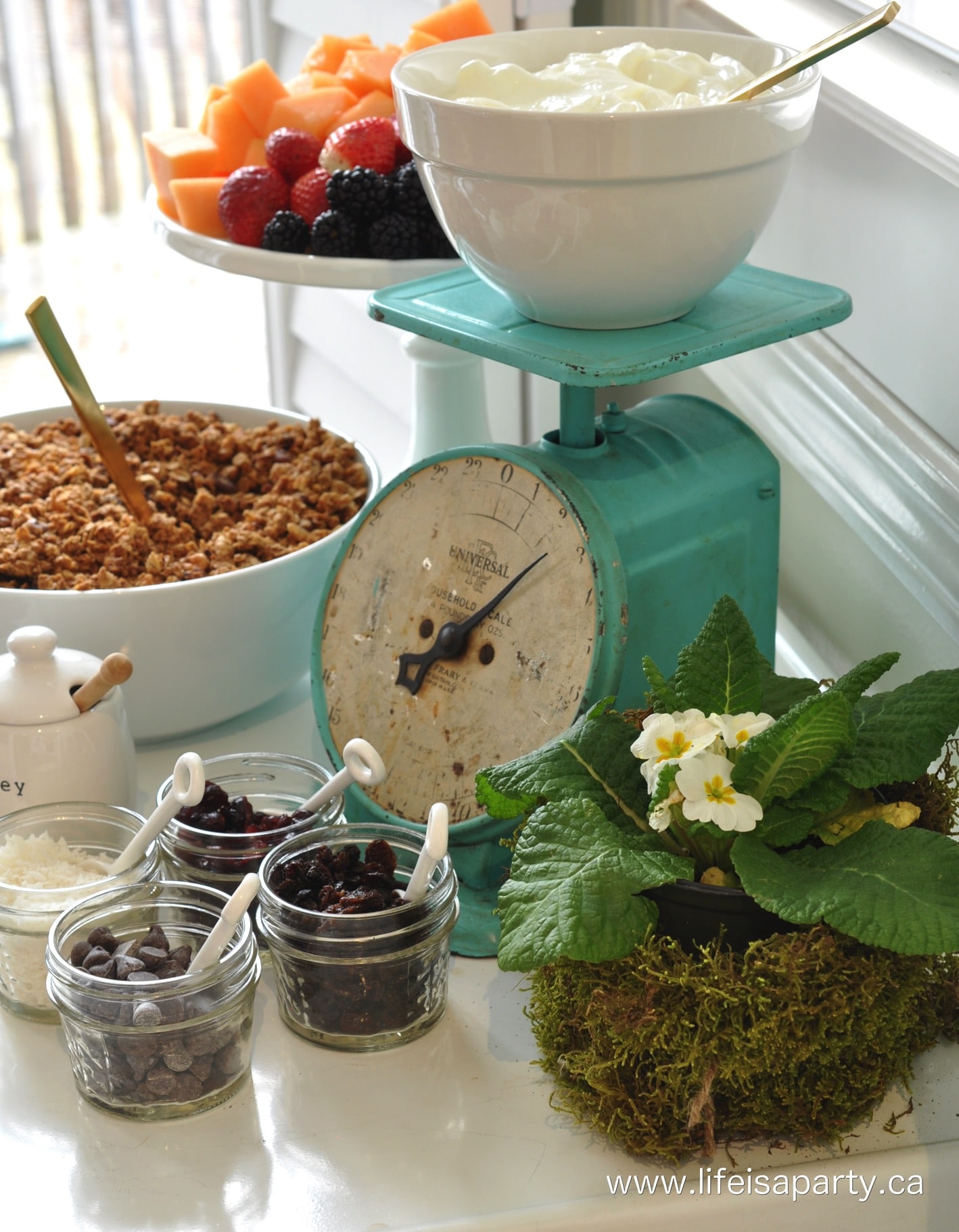 make your own granola yogurt parfait buffet breakfast finger foods