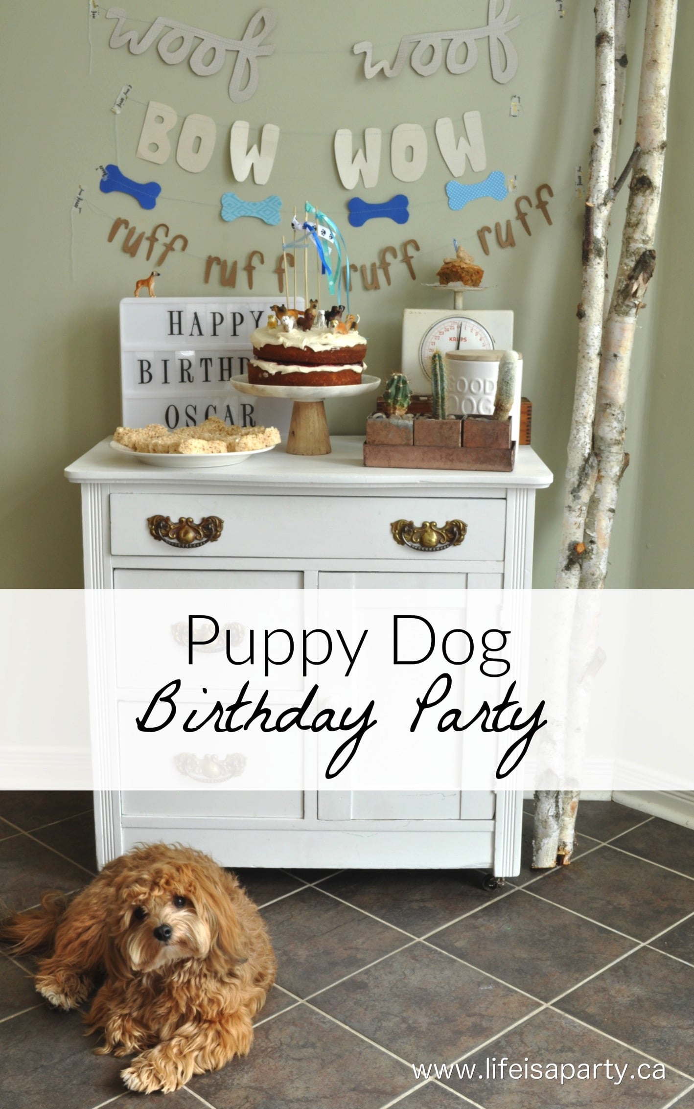Puppy Dog Birthday Party: easy ideas for a dog cake for humans, and a real dog, along with inexpensive dog themed decorations, and dessert table.