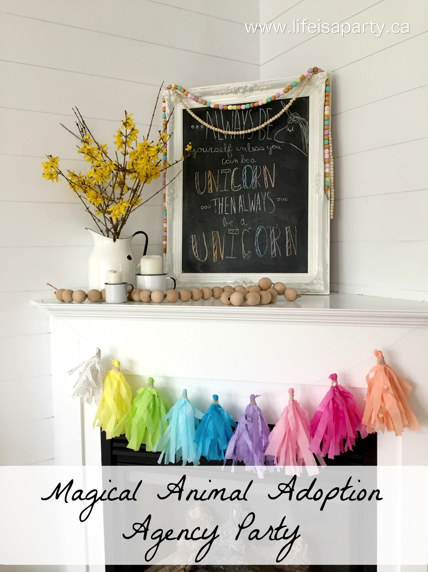 Magical Animal Adoption Agency Birthday Party: create your own agency with stuffed animals and activities for the perfect birthday party.