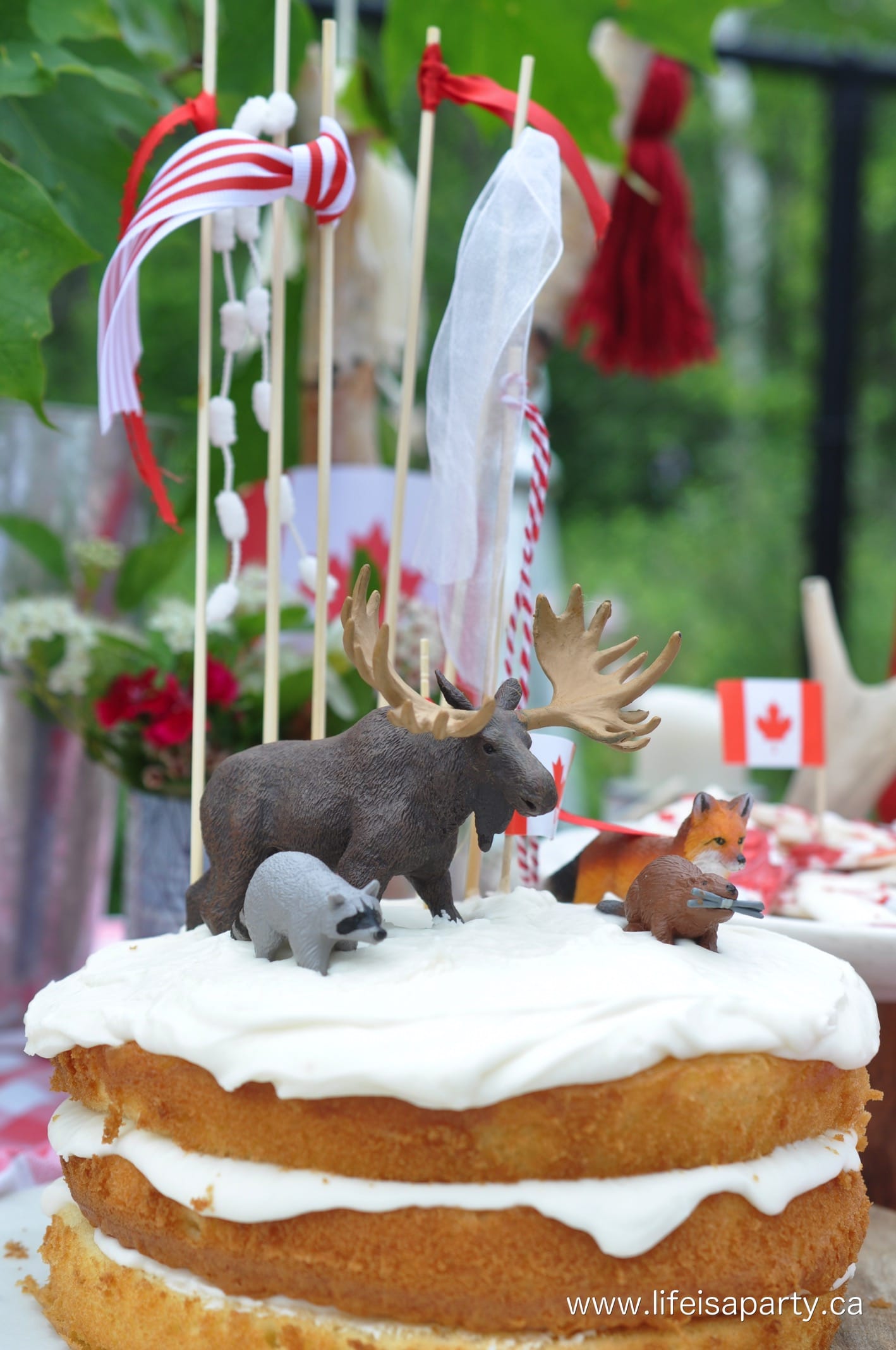Canada themed cake