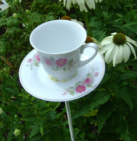 teacup birdbath or bird feeder