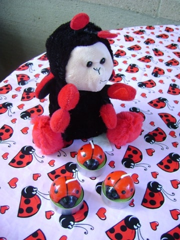 ladybug party decorations