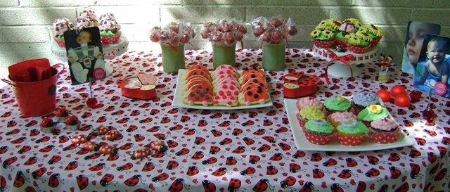 ladybug dessert table