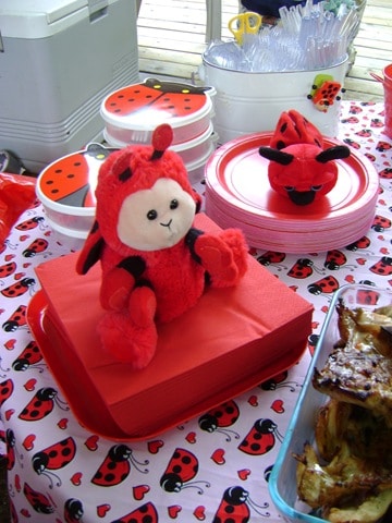ladybug party 