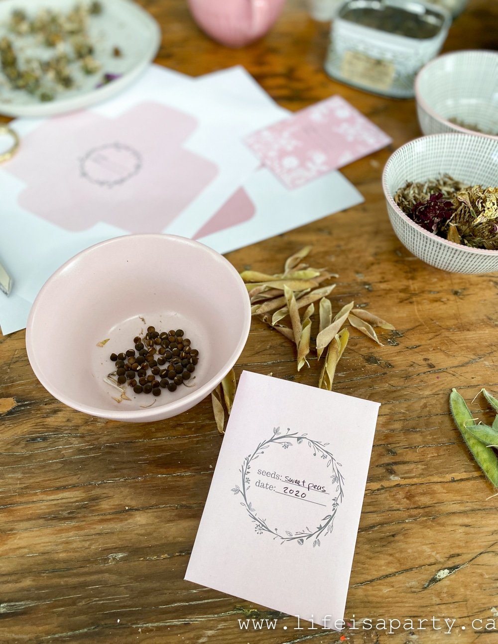 how to make your own seed envelops