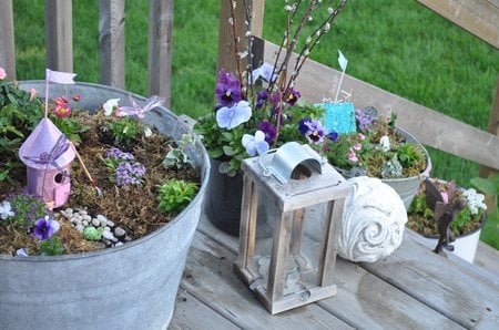 fairy garden containers