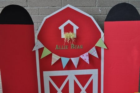 Farm Themed Birthday Party  backdrop
