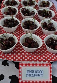 farm birthday party dessert ideas
