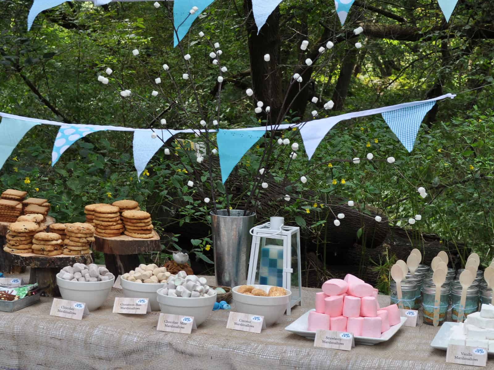 Camp S'more birthday party s'mores buffet table with bunting banners and a marshmallow tree centerpiece.