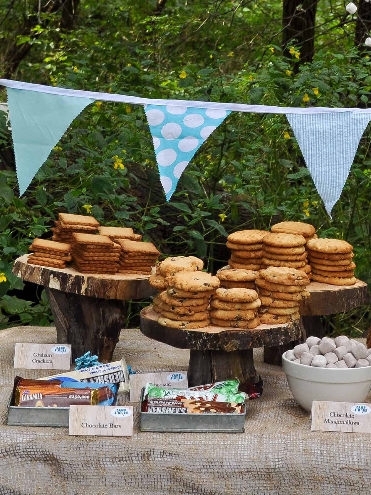 Homemade graham crackers stacked on a tree slice stand labeled for a s'mores bar.