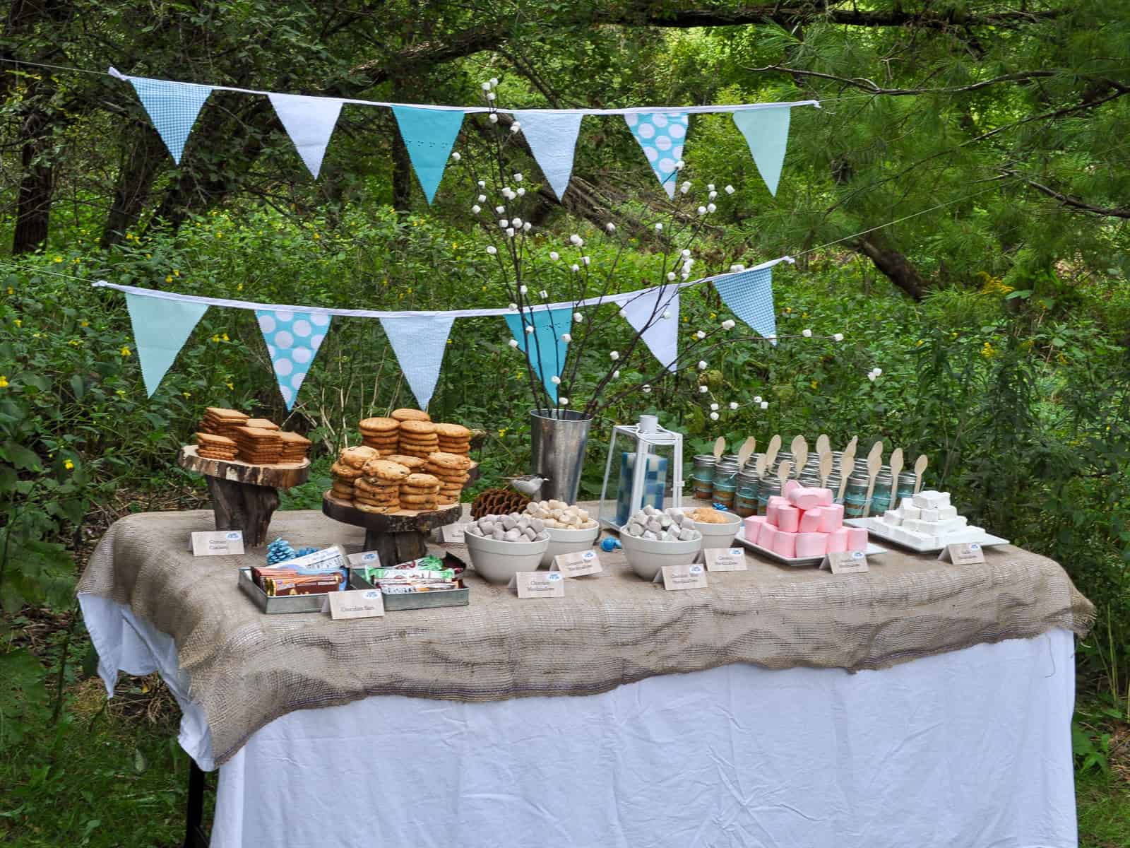 Camp S'more birthday party s'mores buffet table with bunting banners and a marshmallow tree centerpiece.