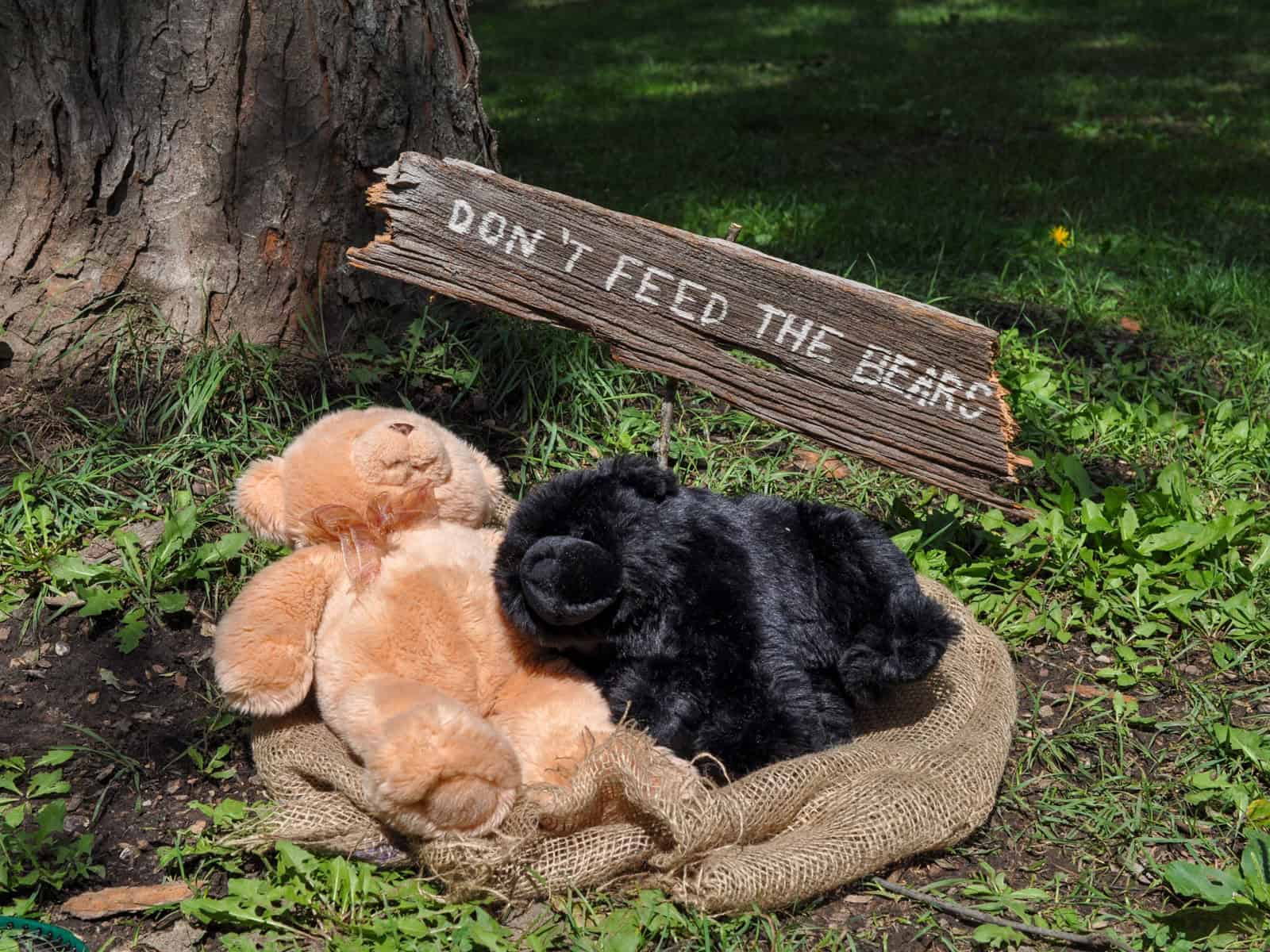 Don't Feed the Bears sign propped against a tree with two stuffed teddy bears.