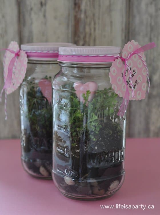 Mini Valentine's Day Terrarium in a Mason Jar