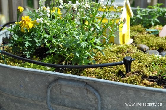 drip irrigation heads