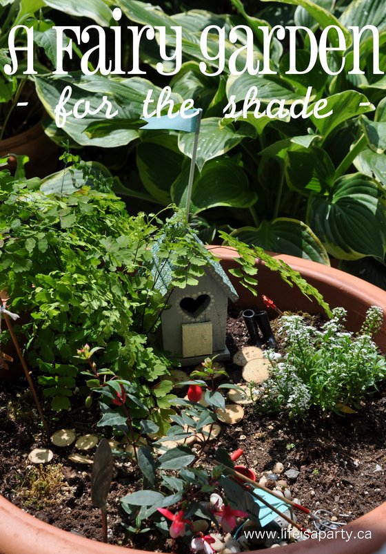Fairy Garden for the Shade: use shade fairy garden plants, fairy garden house, and fairy garden accessories to create the perfect shade loving fairy garden.