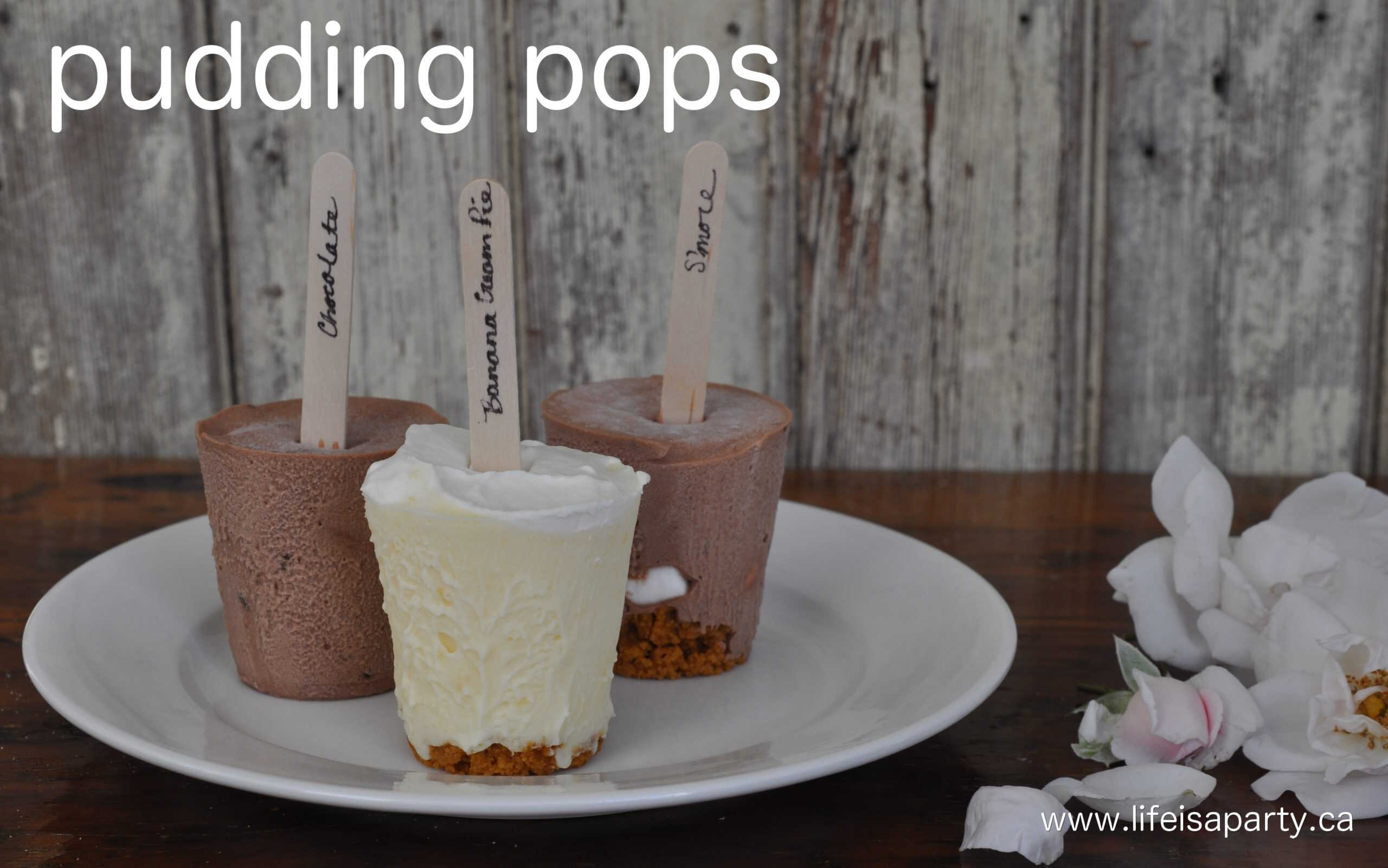 Easy Homemade Pudding Pops