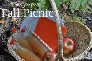 Fall Picnic: Homemade scotch eggs, veggies and dip, fresh honey crisp apples, apple cider, and butter tarts make the perfect fall picinc.