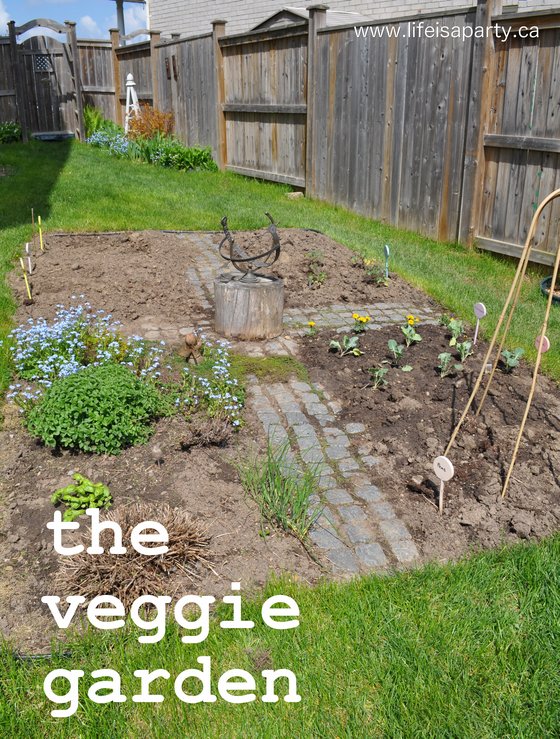 Small Vegetable Garden: ideas for garden structure, how to prep your soil in the spring and what to plant in your small vegetable garden.