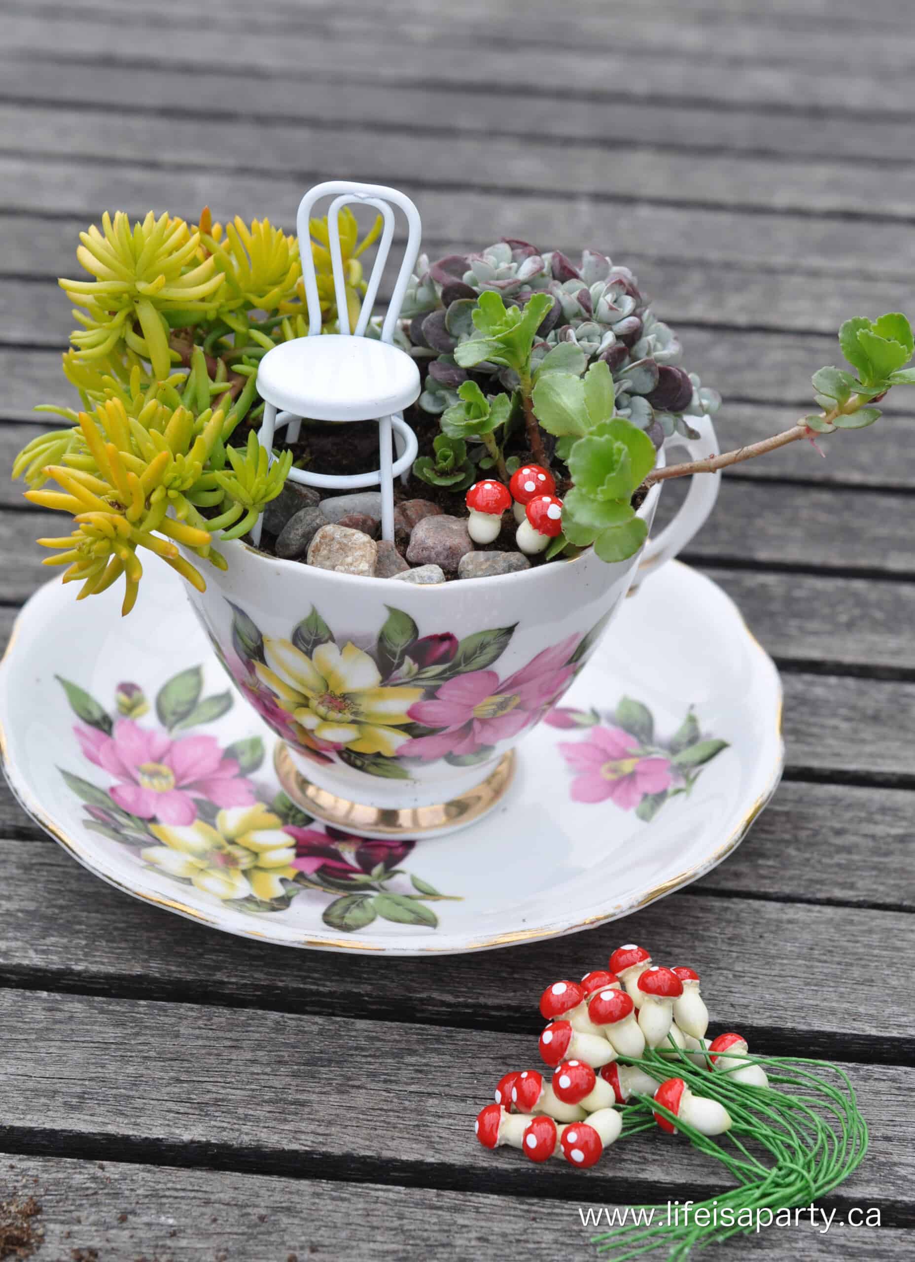miniature garden in a teacup 2.jpg Adding mini faux mushrooms to a teacup fairy garden.