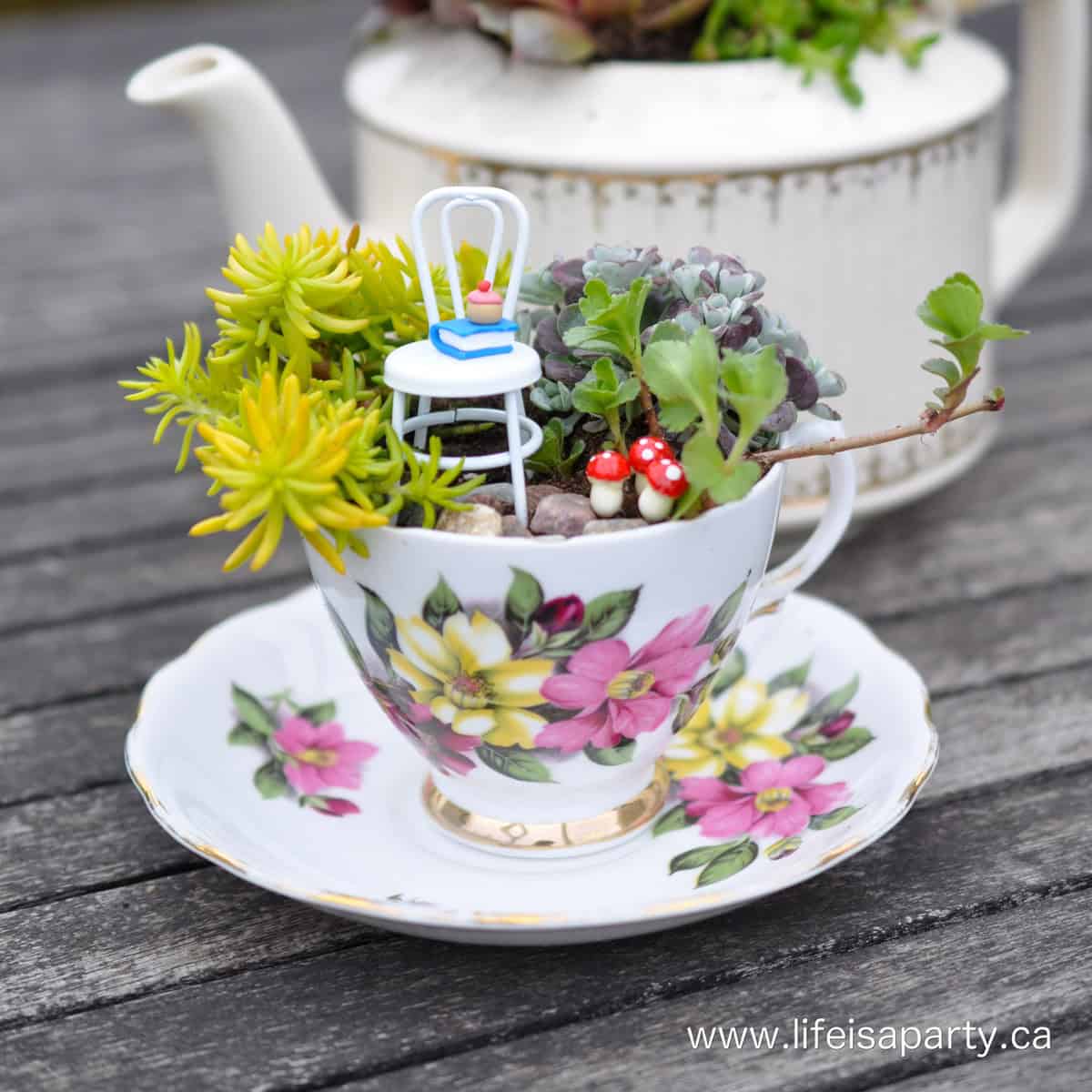 How to make a fairy garden in a teacup.