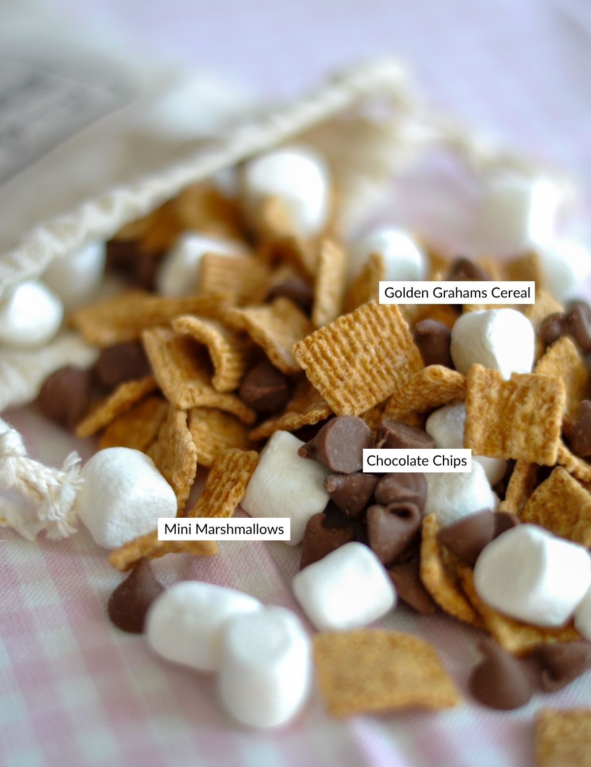 S'mores trail mix ingredients labeled with graham cereal, mini marshmallows, and chocolate chips.
