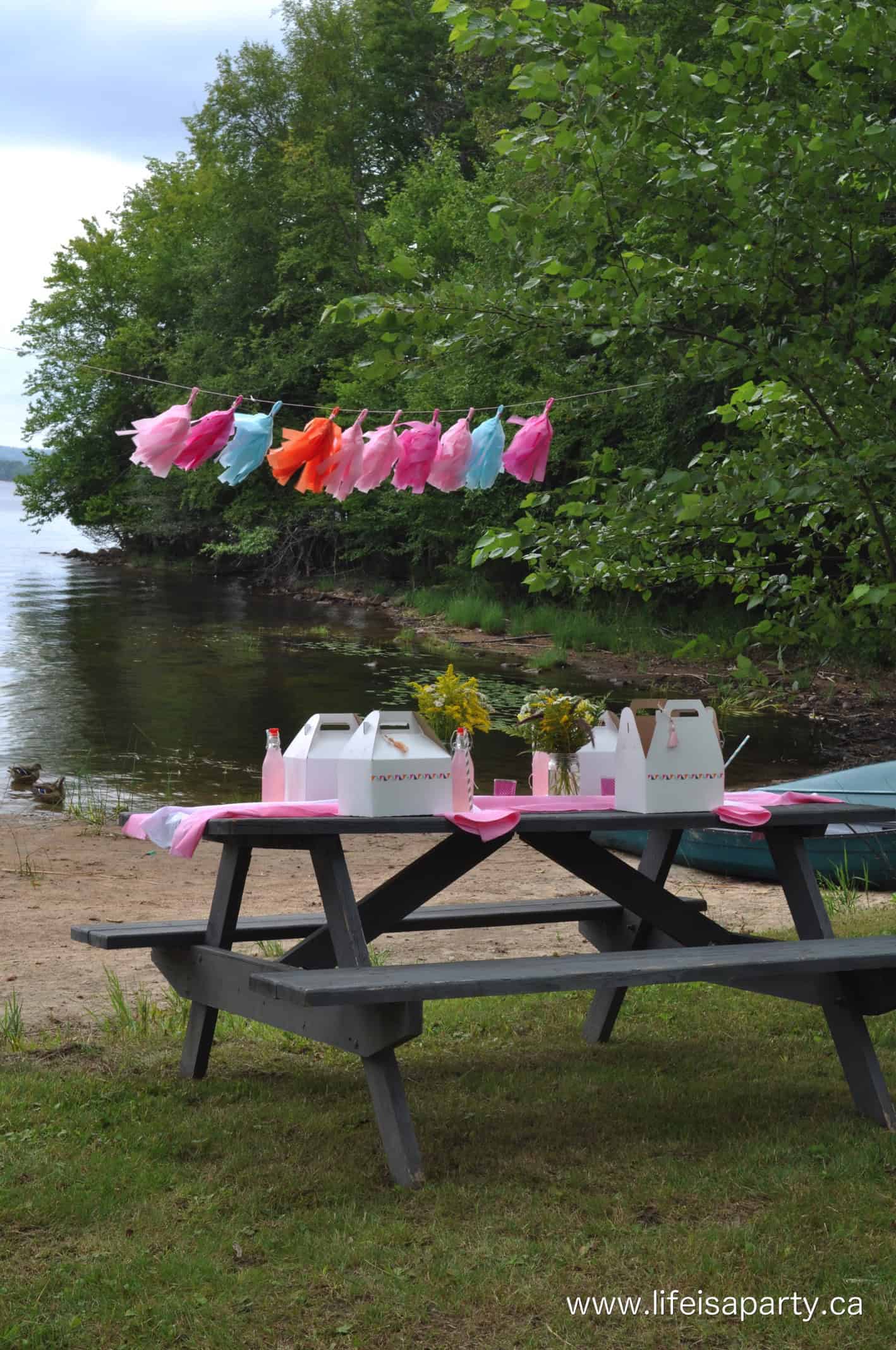 picnic lunch