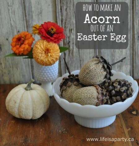 Acorn Craft