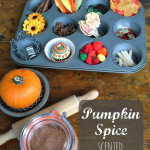 Pumpkin Spice Play Dough: Great recipe for pumpkin pie scented play dough. Lots of ideas for a fun fall sensory centre for children.