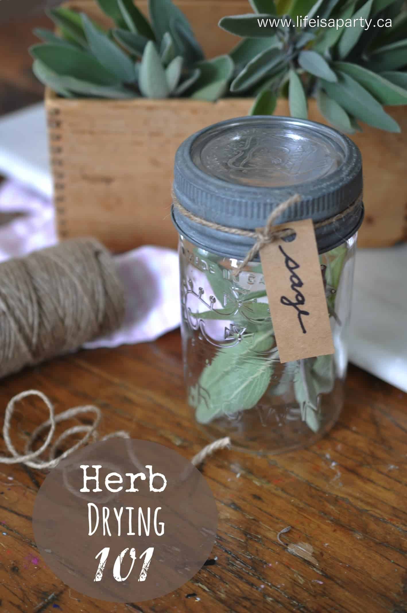 How To Dry Herbs -easy hanging method anyone can do at home.  Enjoy garden herbs year round by drying them to use in the winter.