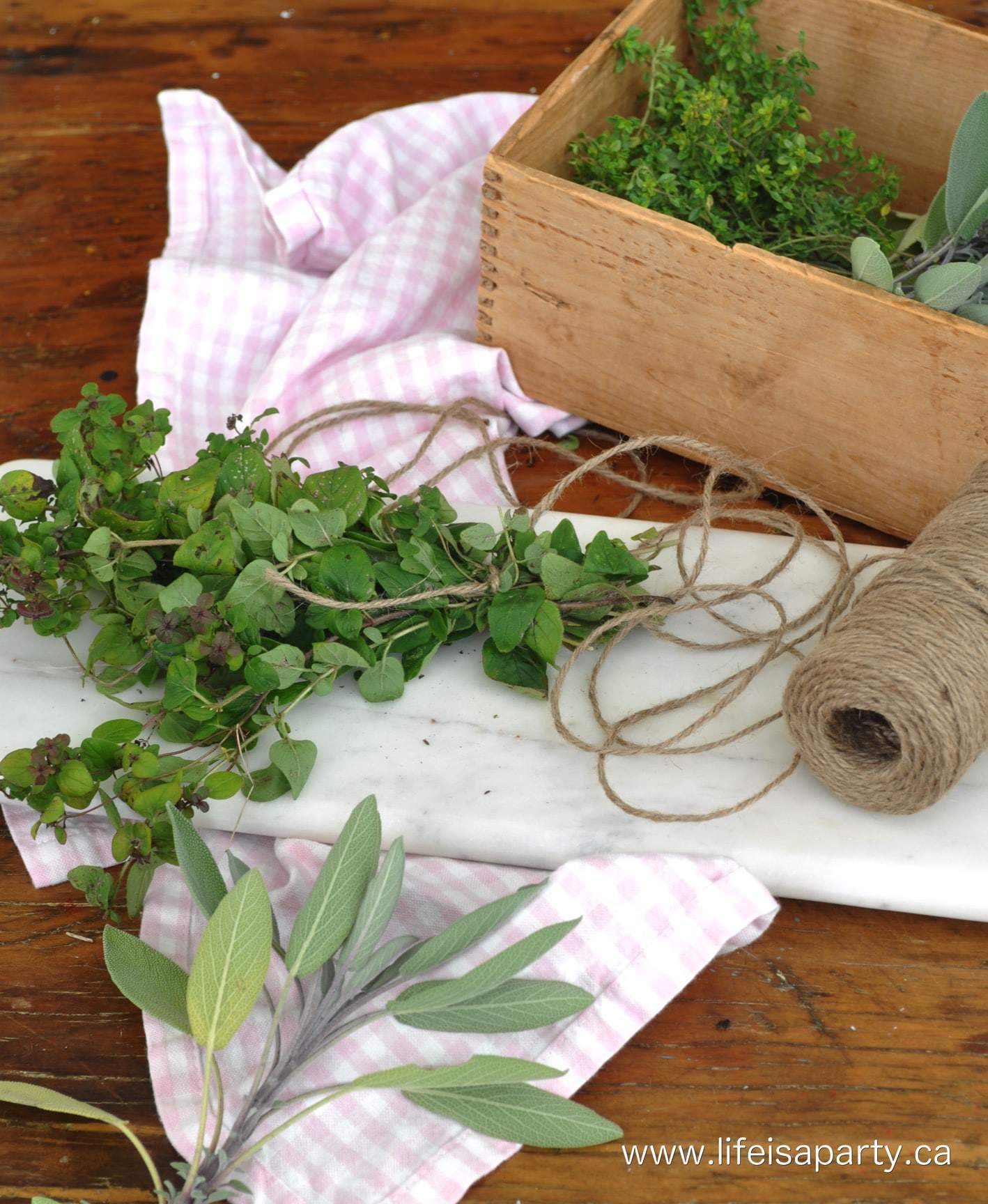 bundles of herbs for drying