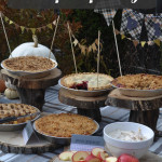 The Pie Party: pies, pie pops, pie fruit dip, pie toppings and beautiful decor make the perfect outdoor fall pie party for family and friends.