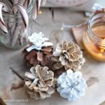How to beach pinecones.