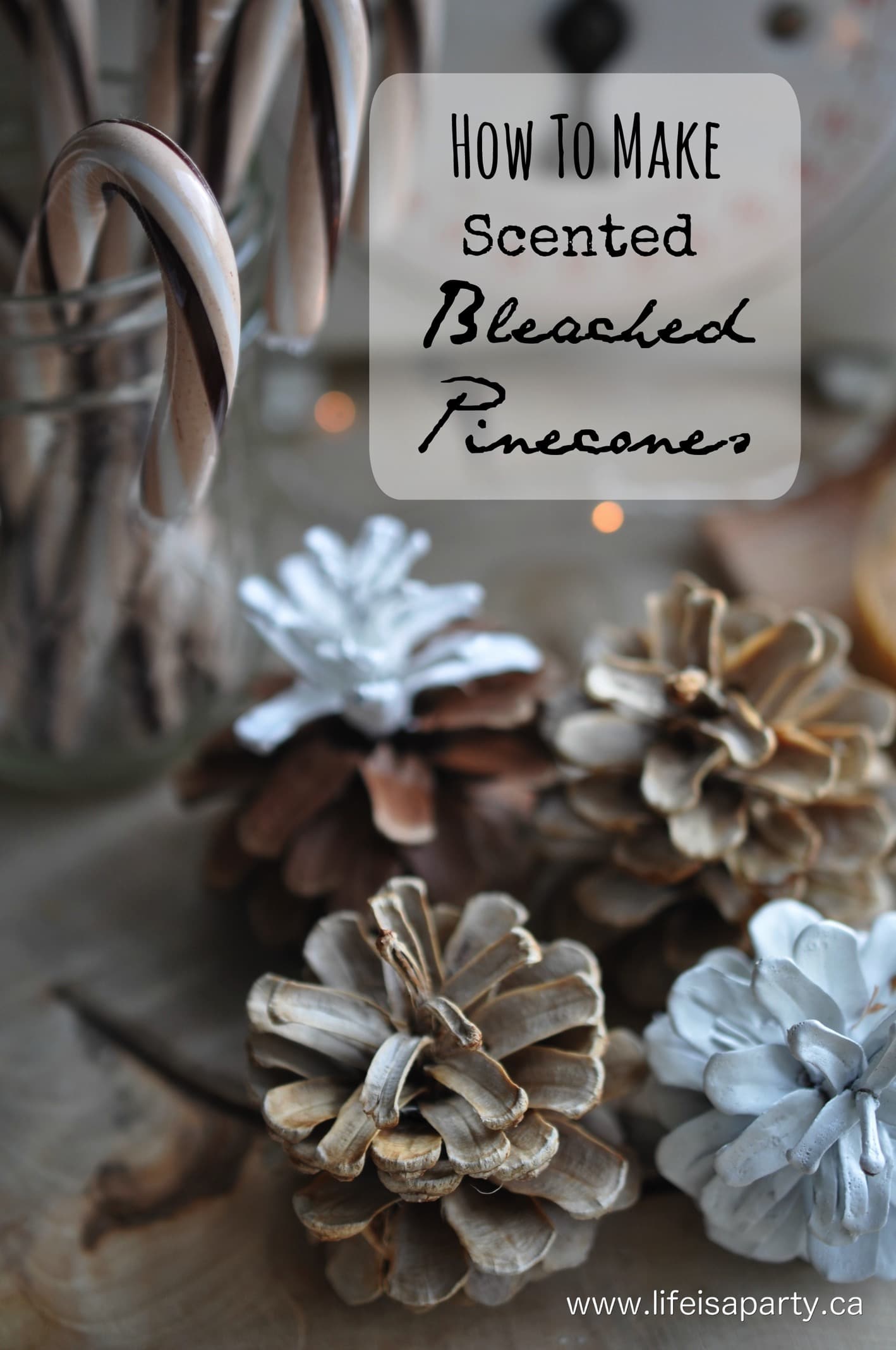 Scented Bleached Pinecones -use simple household bleach to whiten and brighten natural pinecones, and then add any scent to them you like.