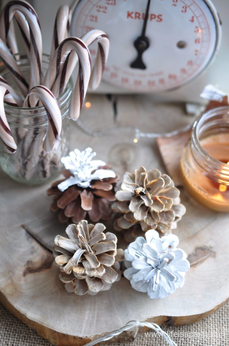 Scented Bleached Pinecones