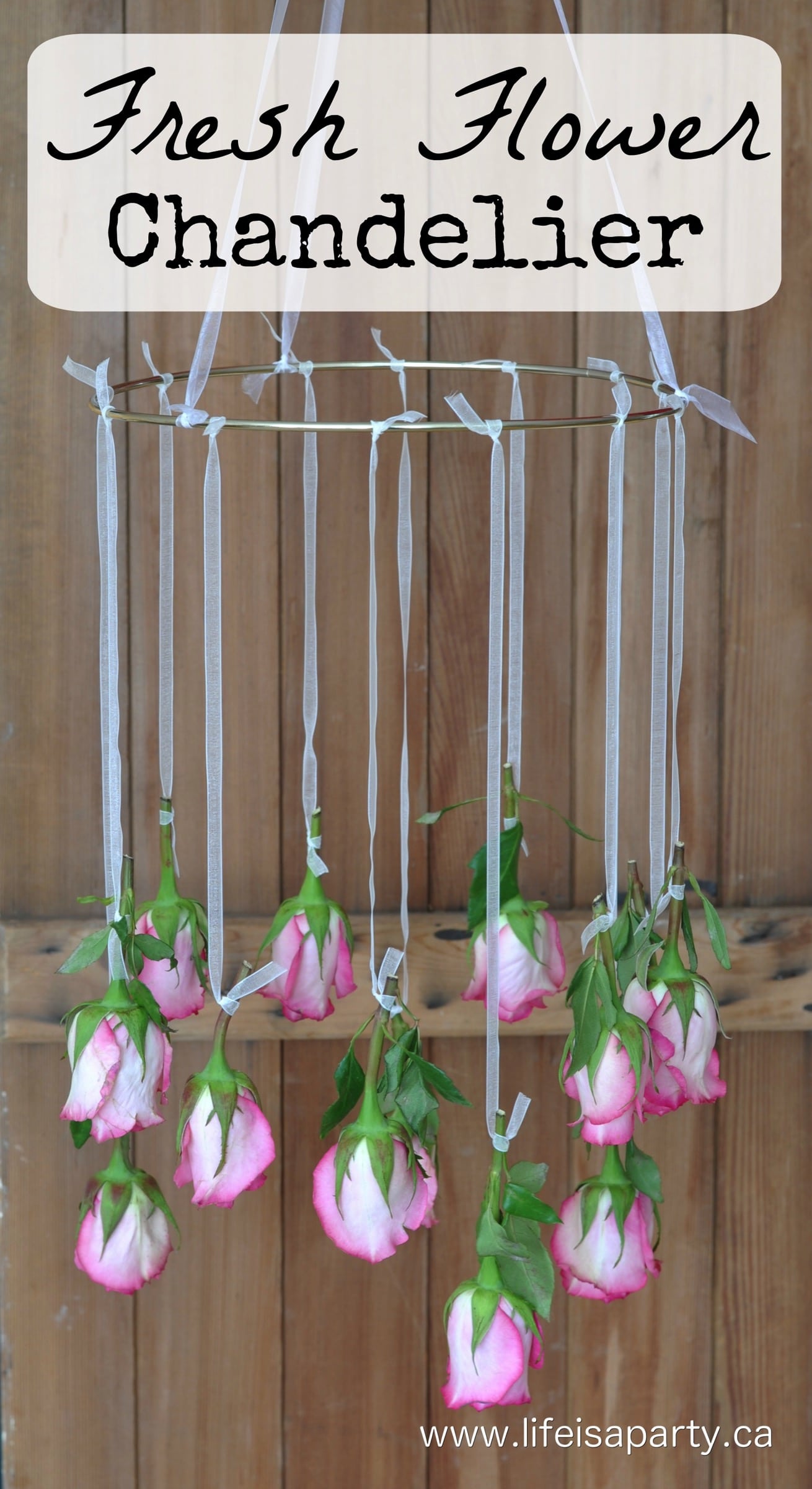 DIY Flower Chandelier: Easy to make,perfect for special occasions, the fresh flowers dry beautifully too. Perfect for Valentine's Day, weddings, or showers.