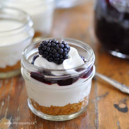 https://www.lifeisaparty.ca/wp-uploads/2016/04/mini-no-bake-cheesecakes-1.1-1-500x500.jpg