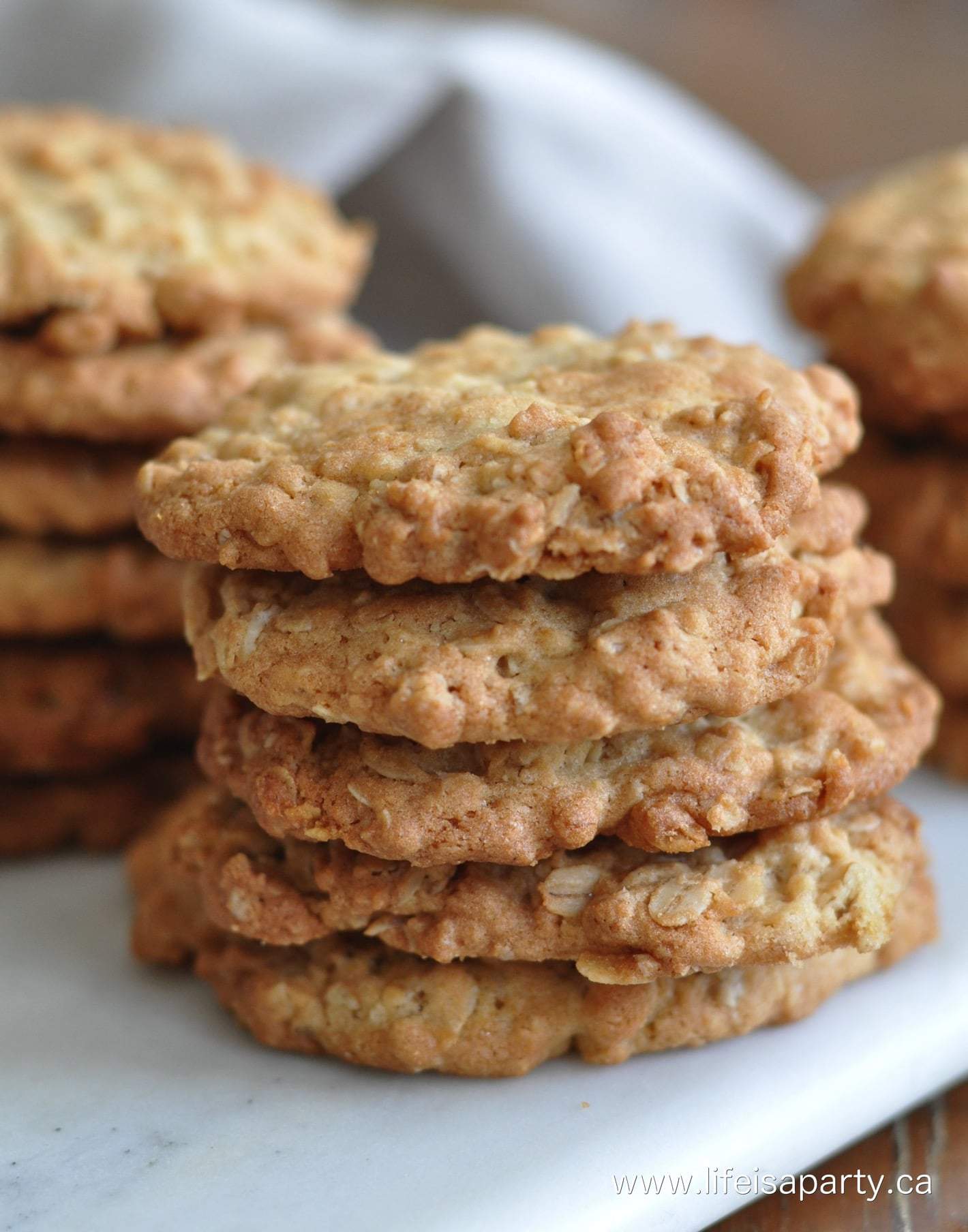 Large Flake Oatmeal Cookie Recipe