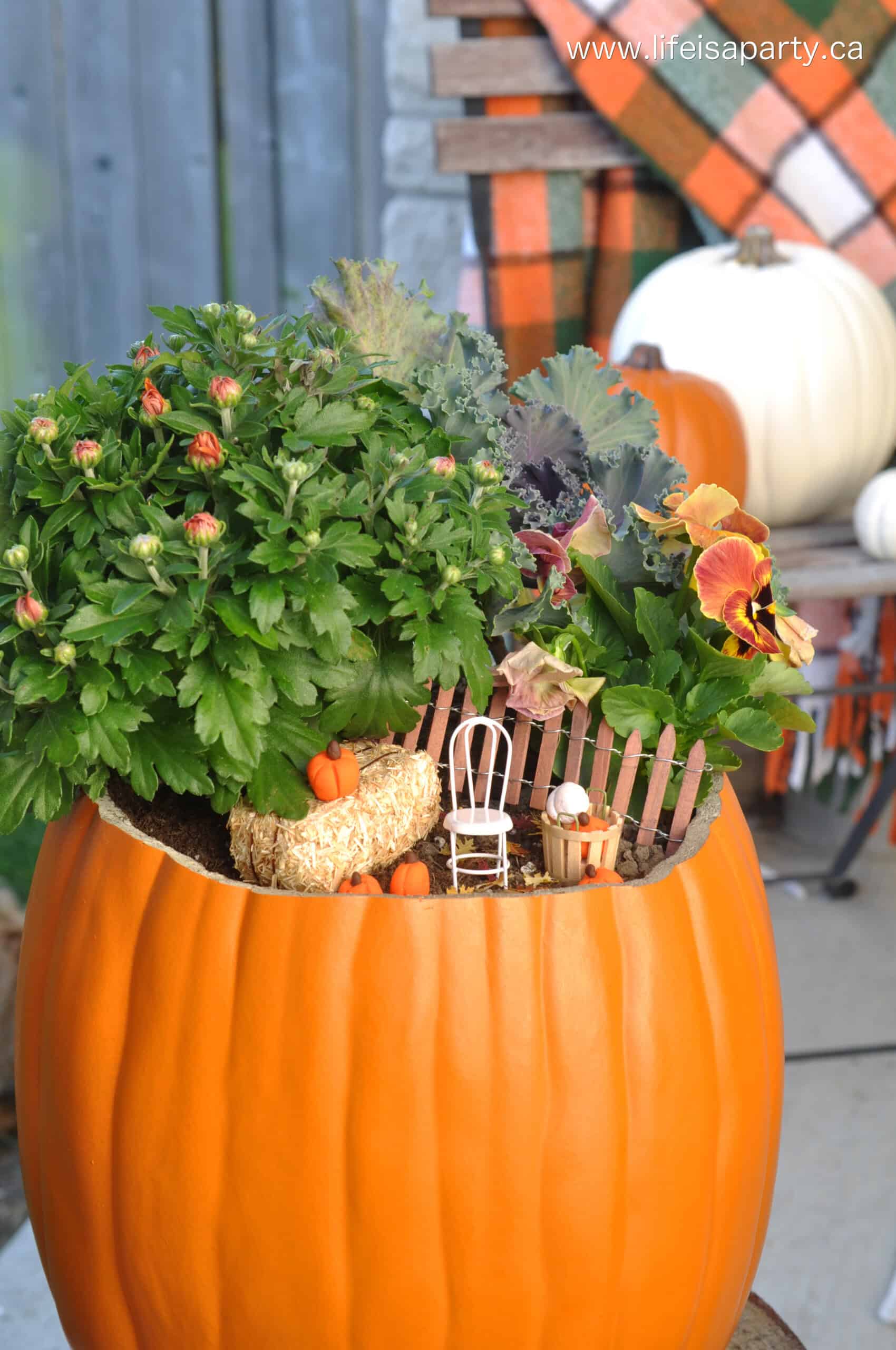 Fairy garden in a faux pumpkin.